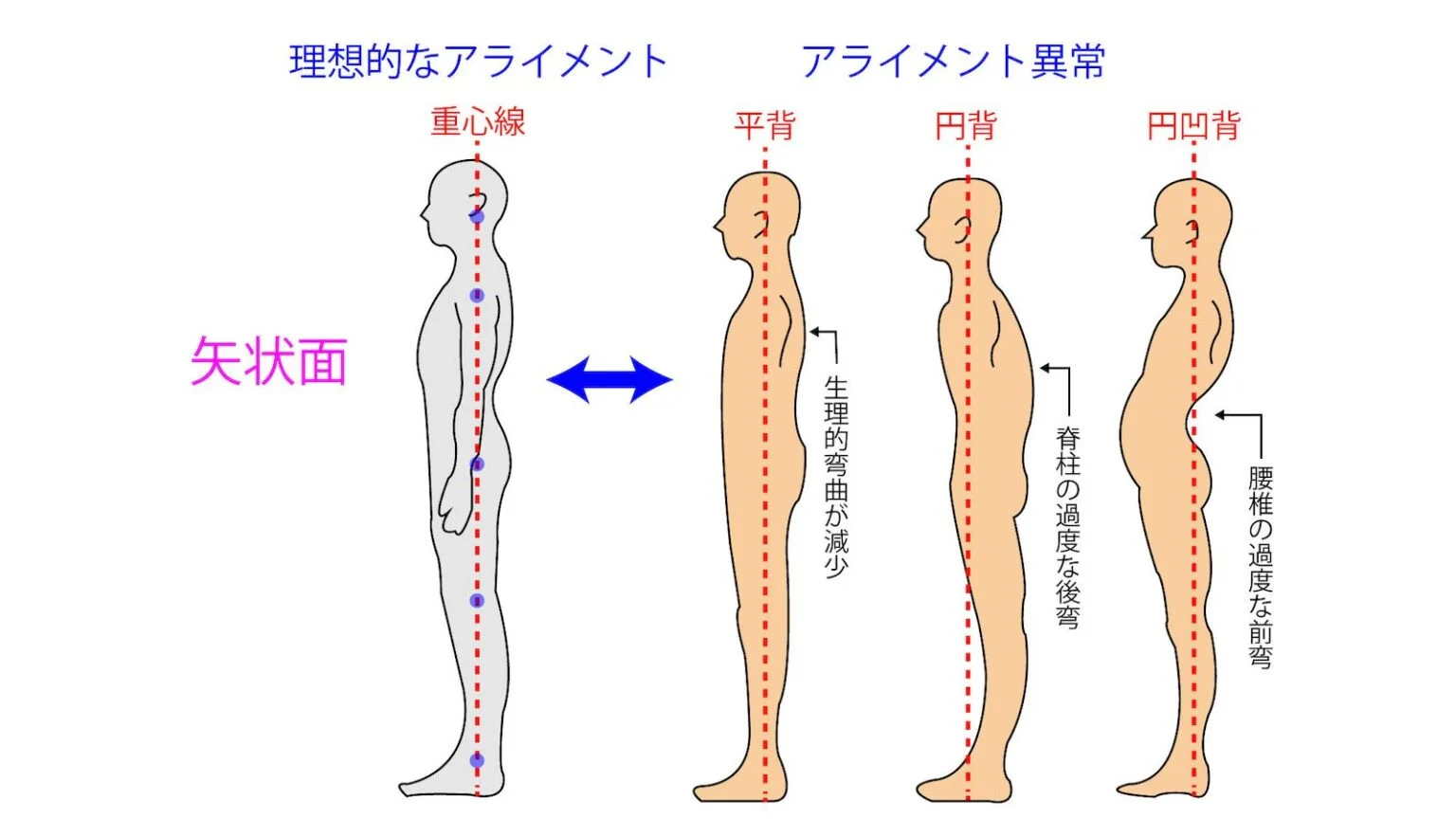 姿勢の全体イメージ